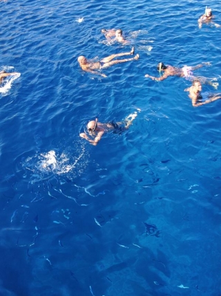  Nada entre los peces 